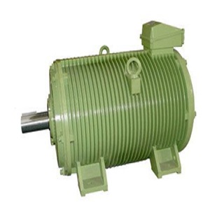 YGP(VFD DUTY) Series AC Motor
