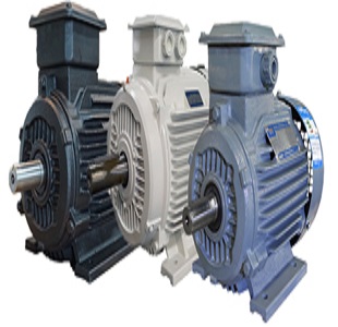 YE4 (IE4) Series  Motors