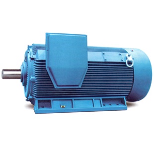 Y2 Series High Voltage  Motor