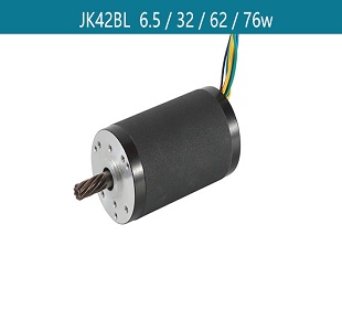 42MM BLDC Motor